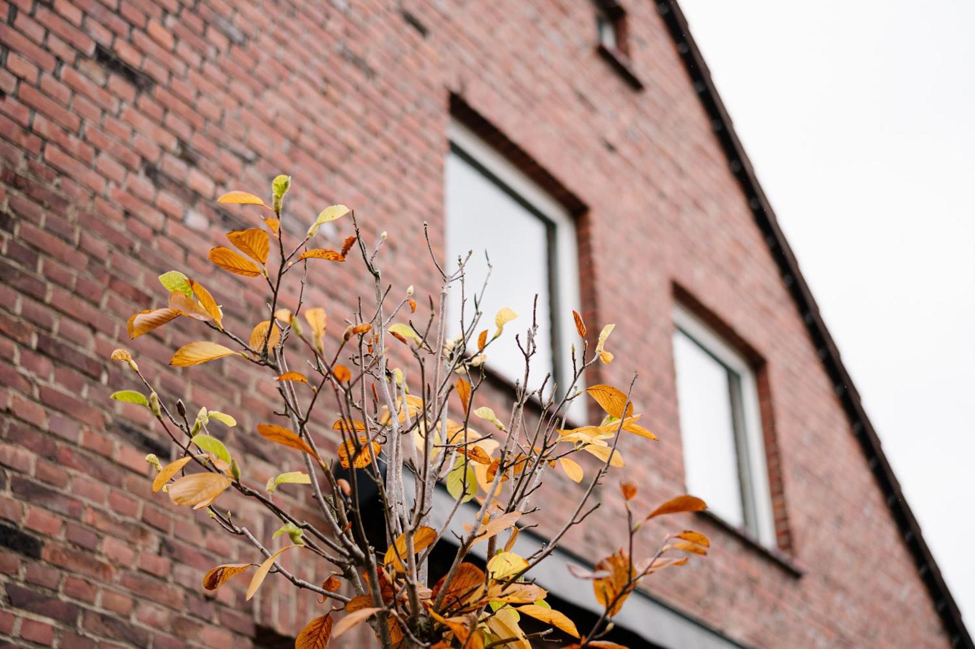 Bed & Breakfast Sago Airporthouse Düsseldorf